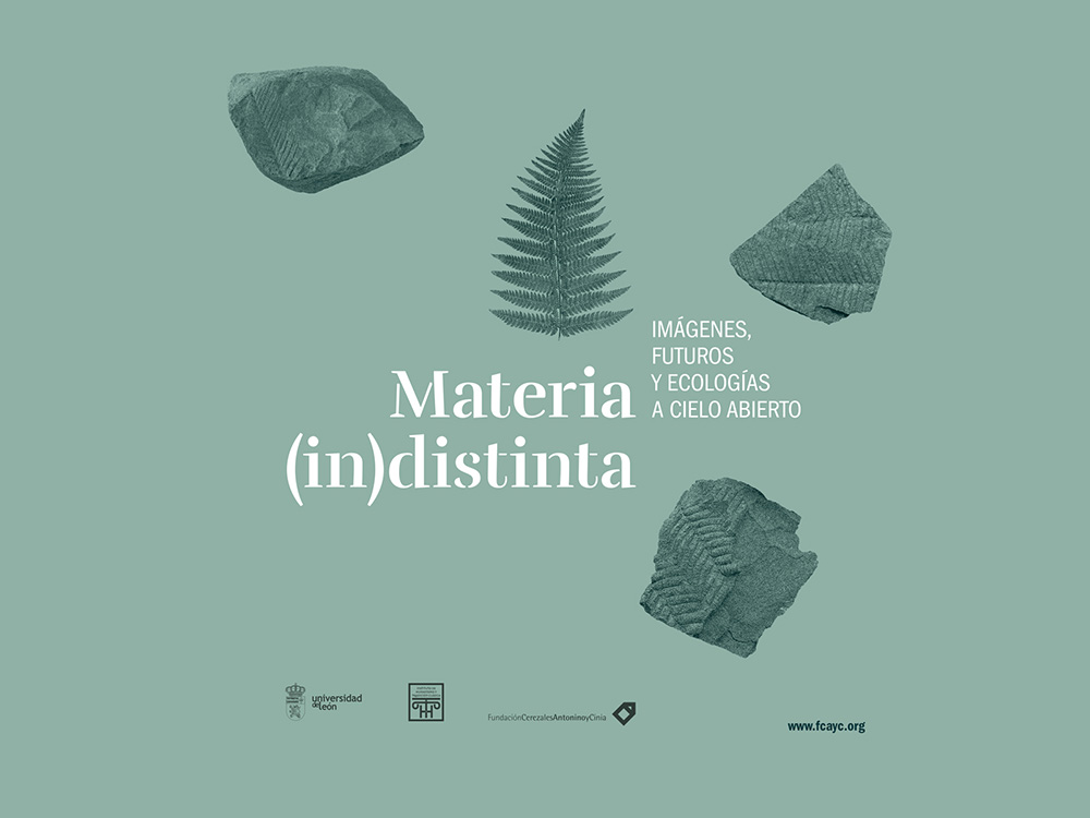 Materia (in)distinta: jornadas de la Fundación Cerezales Antonino y Cinia en León