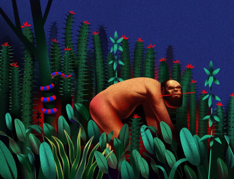 Ibrahim Rayintakath nos da la medida de la ilustración india. Talento, color y armonía