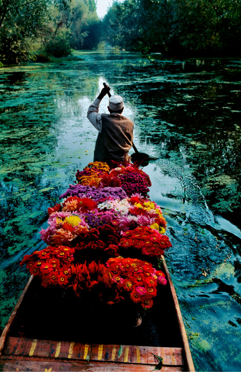Fotografía en el COAM: gran retrospectiva dedicada a Steve McCurry