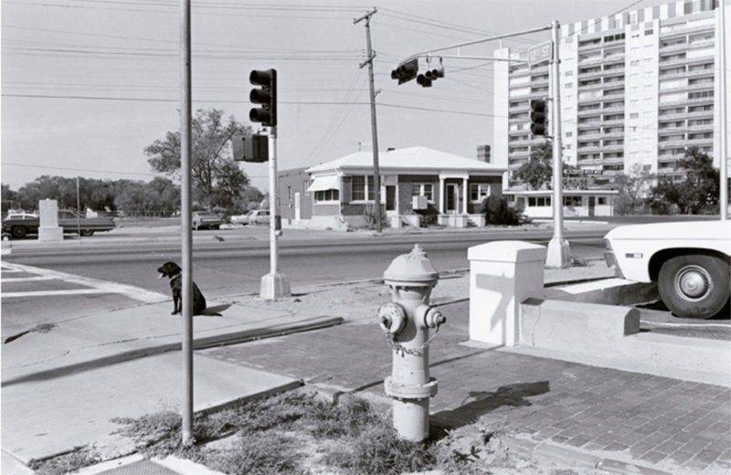 Fundación MAPFRE organiza una potente retrospectiva dedicada a Lee Friedlander