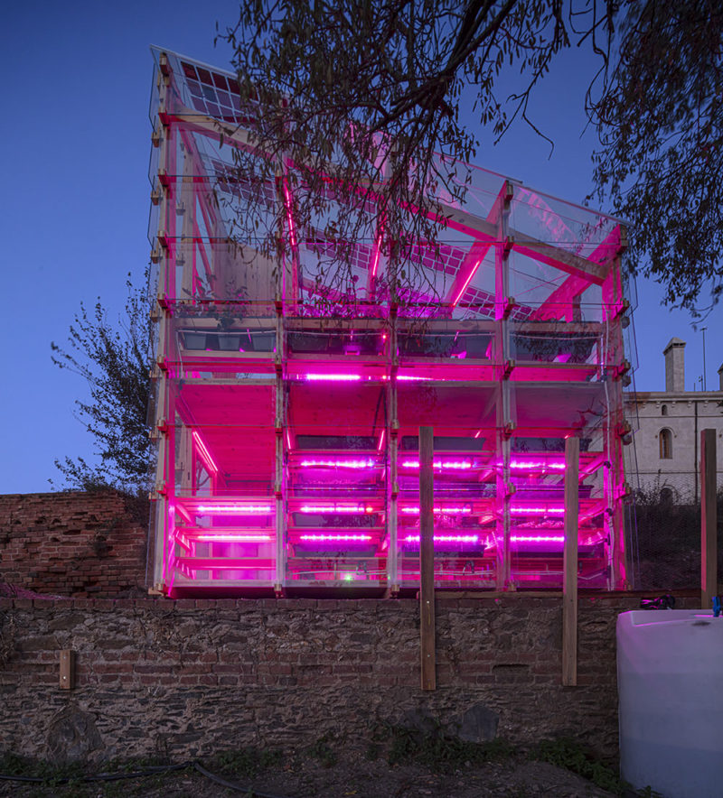 Solar Greenhouse, el prototipo de invernadero ecológico para producir alimentos y energía en las ciudades del IAAC. Foto: Adriá Goula / IAAC/ Pati Nuñez Agency