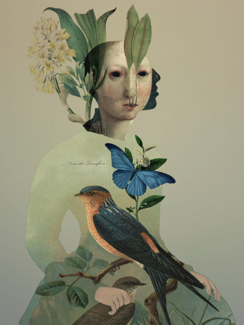 Elegante y mágico, así es el collage multidisciplinar de Sarah Jarrett