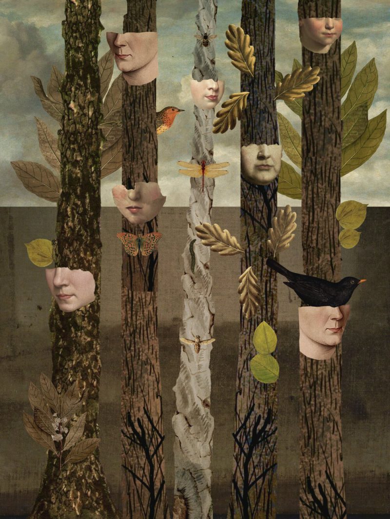 Elegante y mágico, así es el collage multidisciplinar de Sarah Jarrett