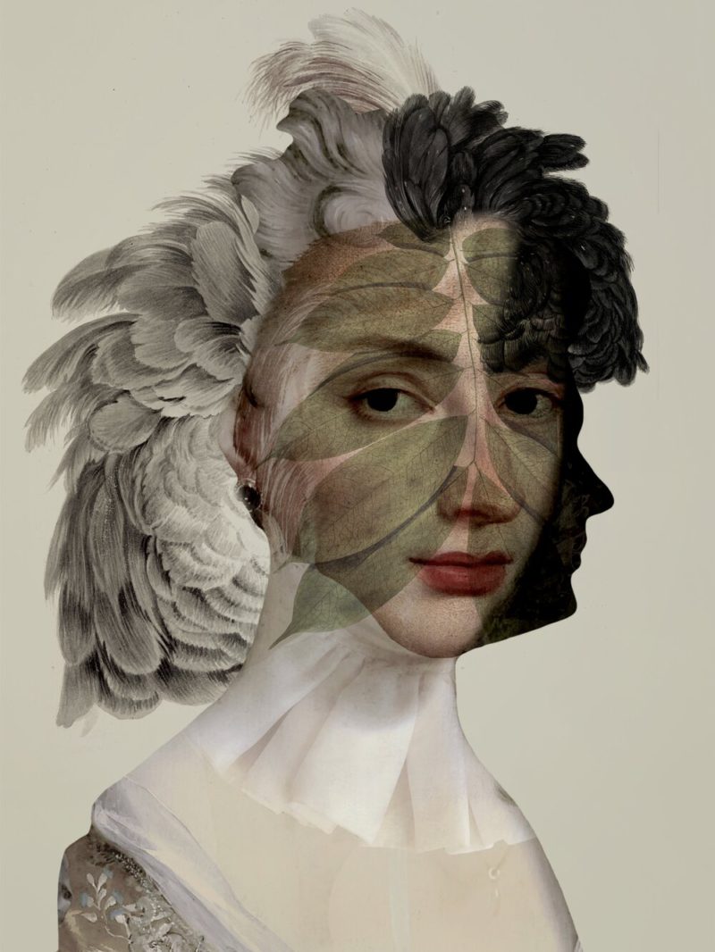 Elegante y mágico, así es el collage multidisciplinar de Sarah Jarrett