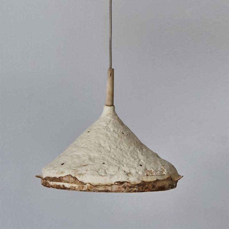 Mycelium es la colección de lámparas hecha de hongos de Sebastian Cox