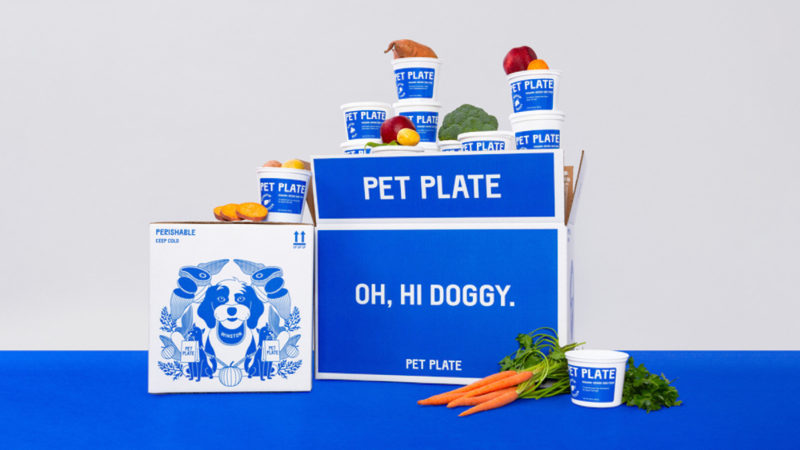 Walsh da vida y personalidad a Pet Plate. Alimento para perros de alta gama