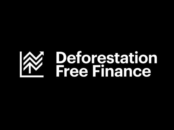 Deforestación Free Finance: árboles y economía en la identidad "icónica" de Mondial
