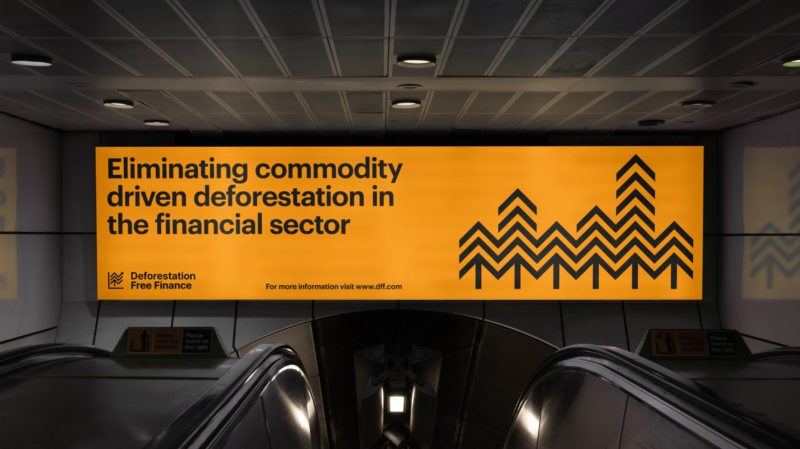 Deforestación Free Finance: árboles y economía en la identidad "icónica" de Mondial