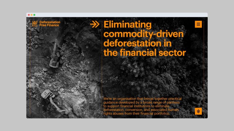 Deforestación Free Finance: árboles y economía en la identidad "icónica" de Mondial