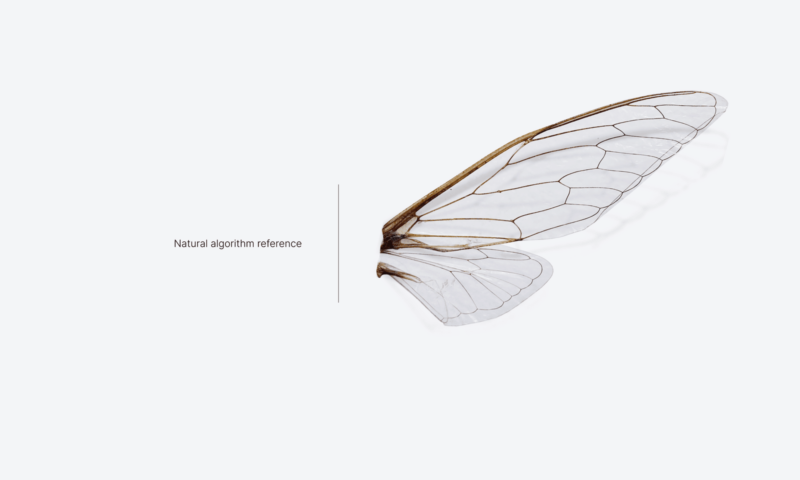 Cicada: impresión 3D e Inteligencia Artificial en la silla de Mitya Belkin