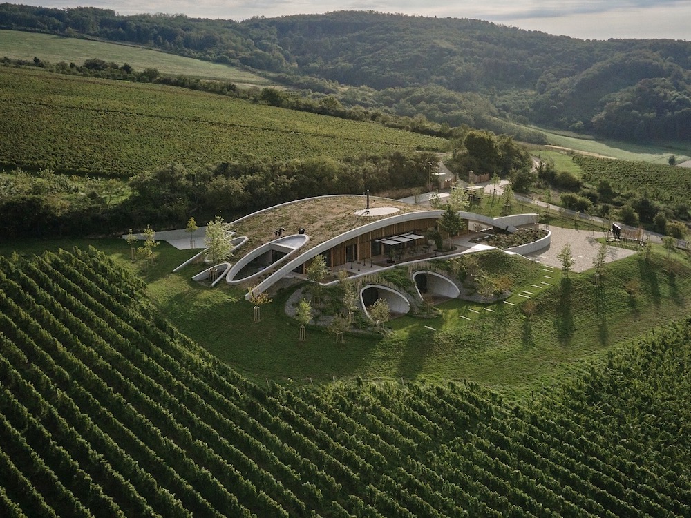 Bodegas Gurdau y el diseño biofílico de Aleš Fiala. Una cata de buena arquitectura checa