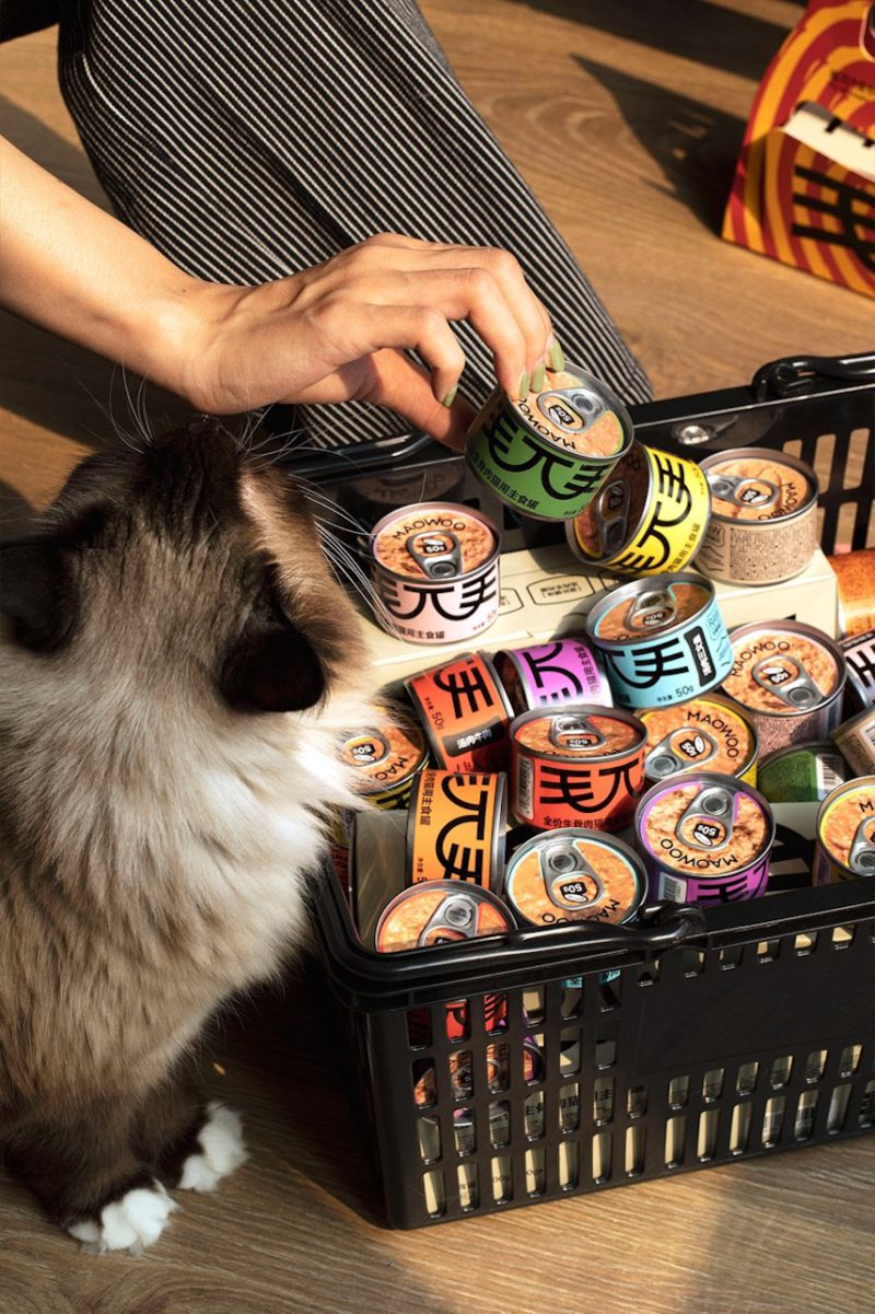 DXD da vida a Maowoo, alimentación gourmet para gatos