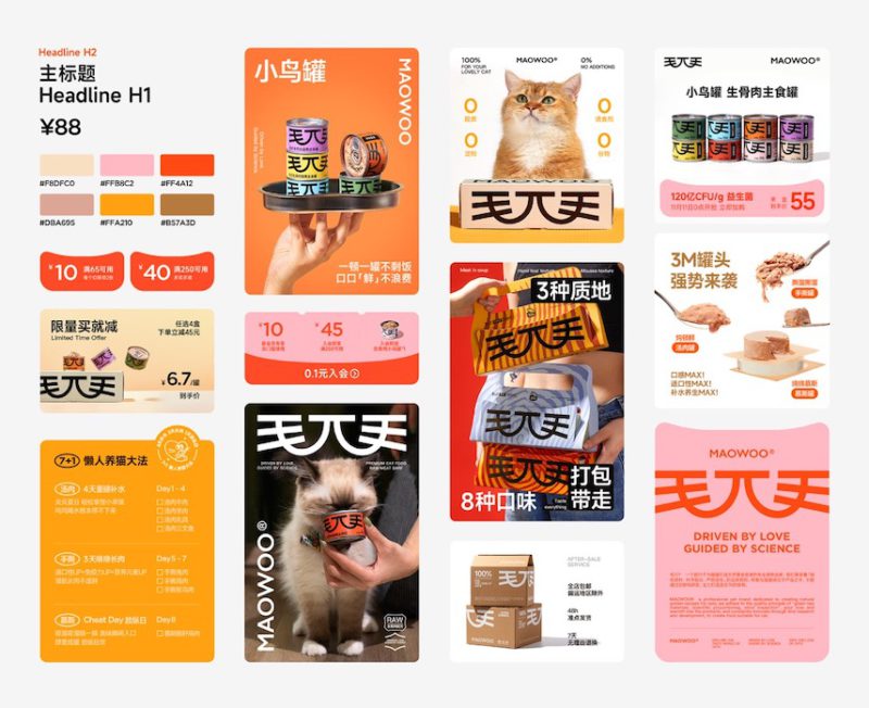 DXD da vida a Maowoo, alimentación gourmet para gatos
