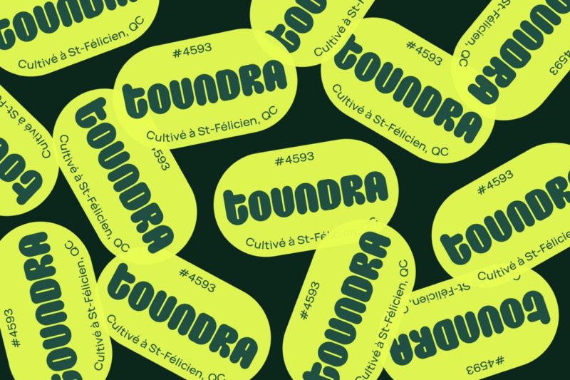 Toundra, los pepinos de diseño de LG2. Una nueva forma de consumir vegetales