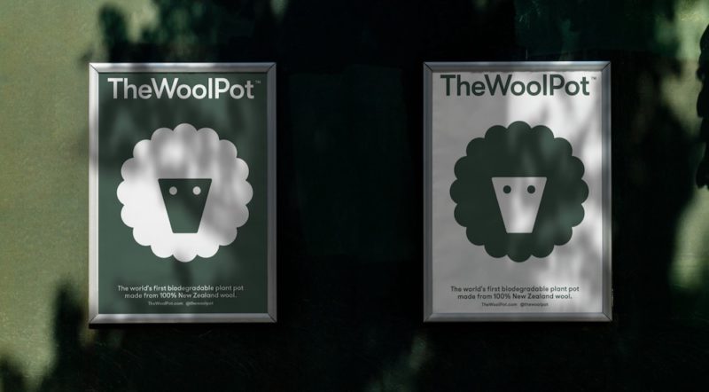 Seachange da vida a The Wool Pot. Por las plantas... por el planeta