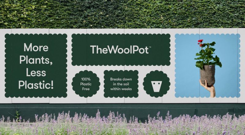 Seachange da vida a The Wool Pot. Por las plantas... por el planeta