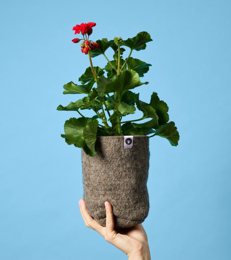 Seachange da vida a The Wool Pot. Por las plantas... por el planeta