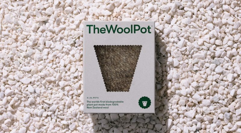 Seachange da vida a The Wool Pot. Por las plantas... por el planeta