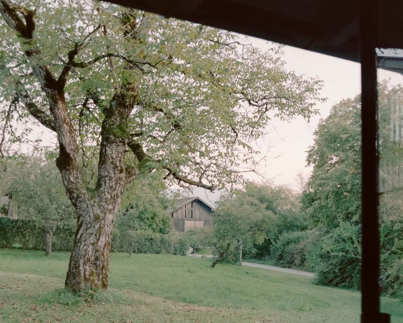 Cabaña de linaza, de Max von Werz. Tradición y vanguardia en los bosques bávaros © Simone Bossi