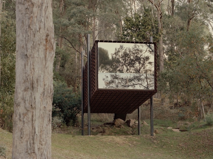 Sawmill, la "casita" del arbol de Robbie Walker en los antiguos bosques australianos © Tasha Tylee