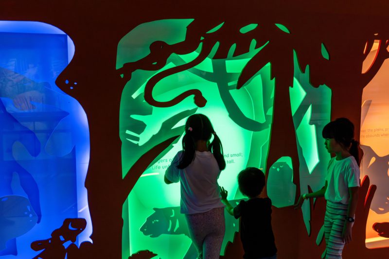 Curiosity Cove: juego inmersivo en Singapur