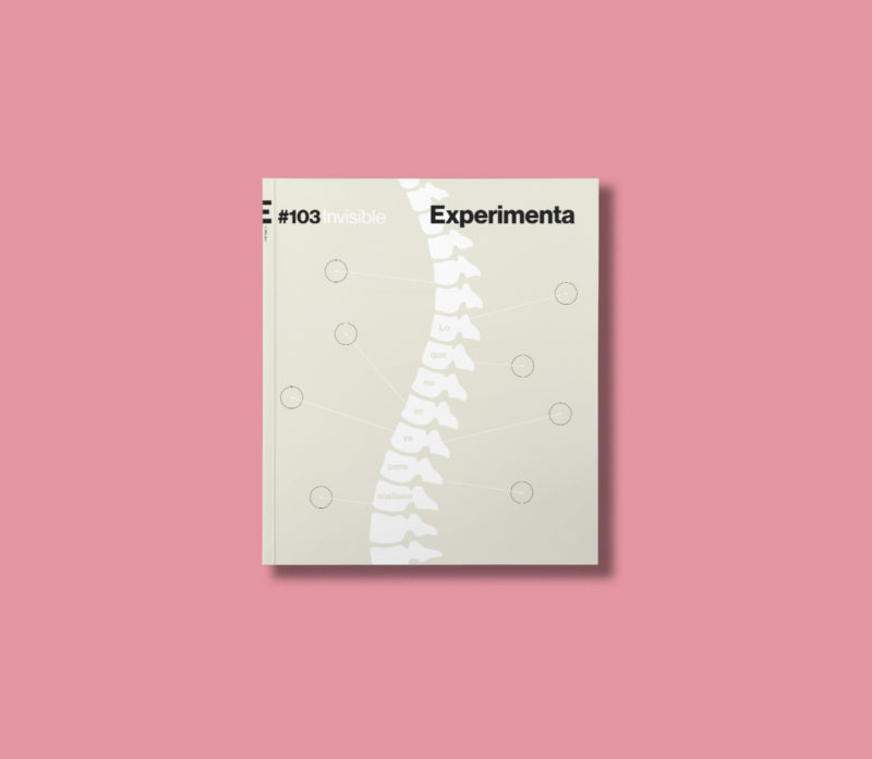 Revista Experimenta #103: Invisible - Portada