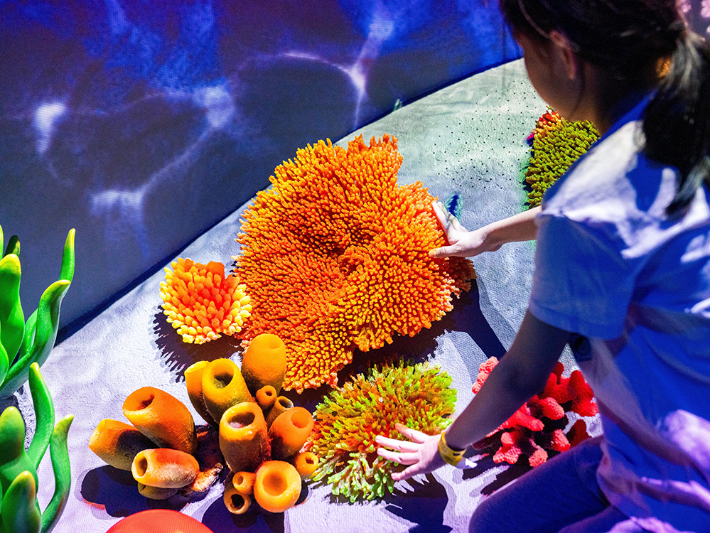 Curiosity Cove: juego inmersivo en Singapur