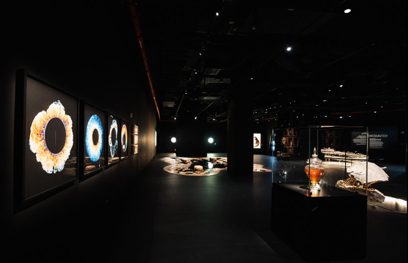 Black Gold Museum abre en Riad