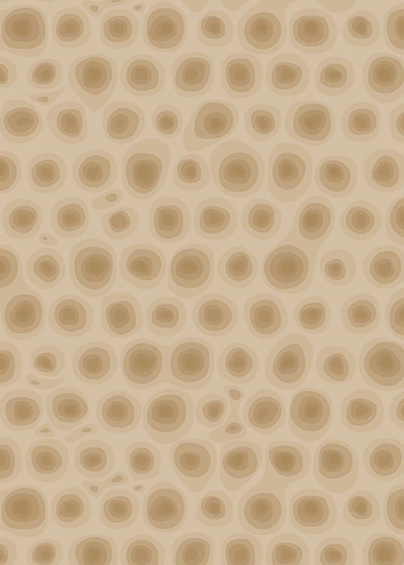 Mare Nostrum, diseño desde el mar